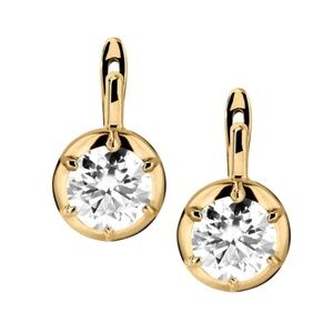 New in Box Dorsey Maxwell Earrings Size Large